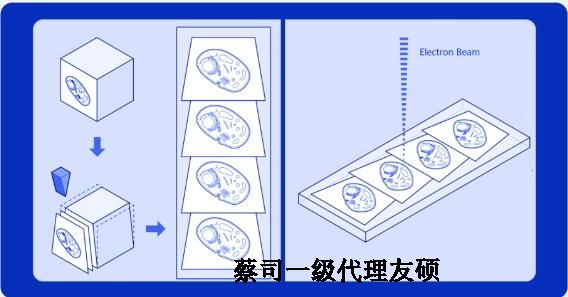 广州蔡司广州扫描电镜