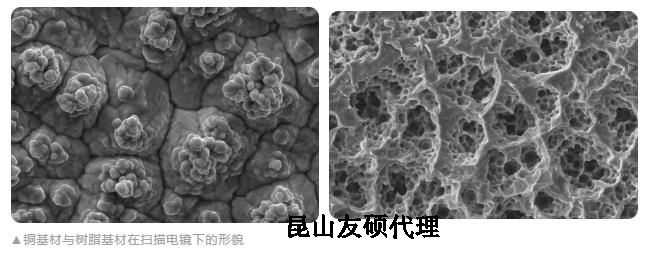 广州蔡司广州扫描电镜