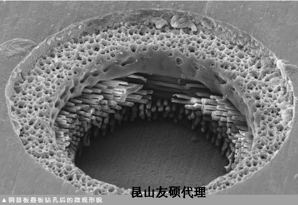 广州蔡司广州扫描电镜